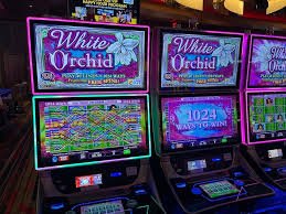betproexch com Hamari Slots — Reel Games jo Pakistan Players Khol Rahe Hain